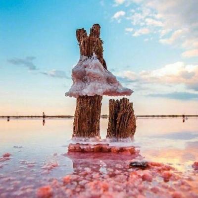 im电竞官方网站入口·官方网站